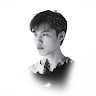 Avatar of Gia Bảo