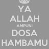 Alawi Rizain