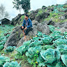 ကိုထိန်ဝင်း