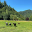 Sweet Creek Ranch