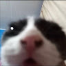 Claynide