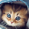 user_n24aom4xjooyzl9v member profile picture