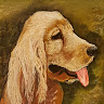 Sebastian L.