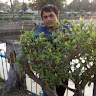 Pravesh profile