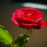 Created by