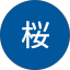 尾瀬桜