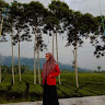 Created by