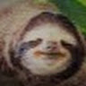 Devoid Sloth