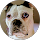 Ian Gardner profile picture