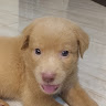 Ryen Zavier Mendoza
