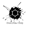Corporación Clorofila Taller