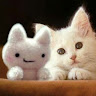 Created by