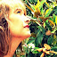 Toni L. Wood