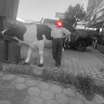 oyun-zama-taspnar