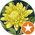 Beanie Griglen Avatar