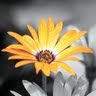 Created by