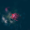 Created by