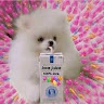 nestiiee member profile picture