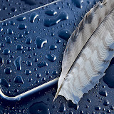 Najib