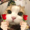 Created by