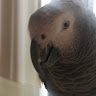 user_bz3wefzbi1930lpl member profile picture