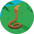 Avatar de Ludovic.E