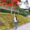 Thi Thu Trinh