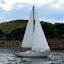 AustinYachtClub Sailing (Owner)