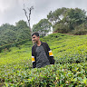 JAYANTHAN S K