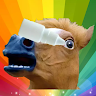 hh Z 0