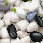 Usuario: trúc duy nguyễn