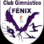 CLUB GIMNÁSTICO FÉNIX Gimnasia Rítmica y Pilates (Owner)