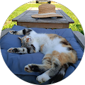 Avatar de Françoise.E