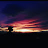 RIZAL FAUZI