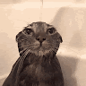 user_vs93edkd4unqx0qj member profile picture