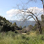 Arroyos & Foothills Conservancy (eier)