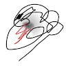 Carol F.'s profile image