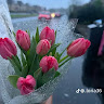 روان  