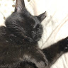 執筆者の写真: 恭平 森