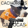 CACHORROS CARIOCAS