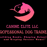 Writer: canineelitellc