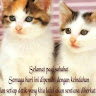 Created by