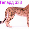 Гепард 333