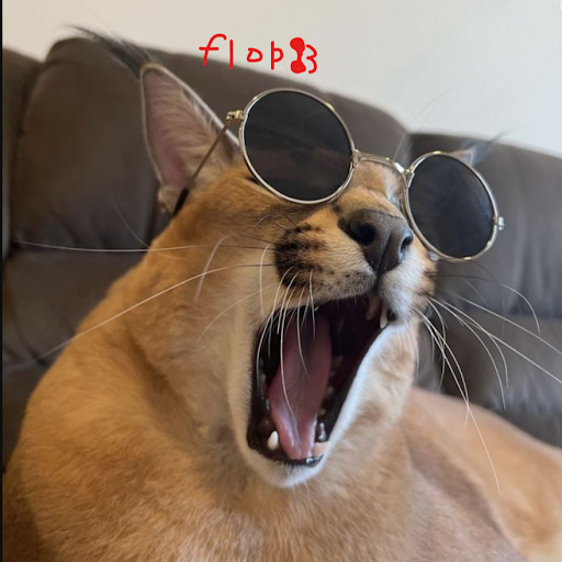 FL0PP3R GUY