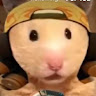 Hikam Insani