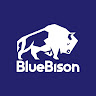 Writer: blueBISON LLC