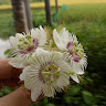 Created by