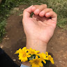 Created by