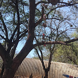 Utilisateur: Ali Gose