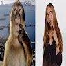 View user_4g6cqoedcv19810q's Profile